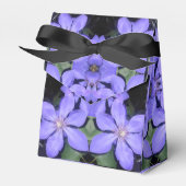 Ballotins Cé sarine (Verso)