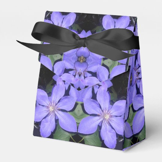 Ballotins Cé sarine (Verso)