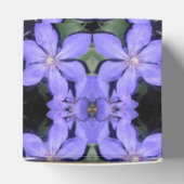 Ballotins Cé sarine (Haut)