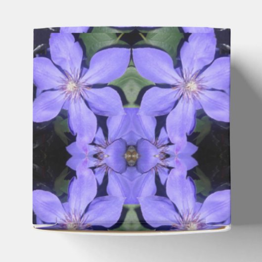 Ballotins Cé sarine (Haut)