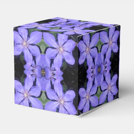 Ballotins Cé sarine (Arrière)