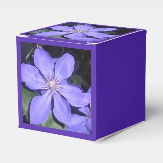 Ballotins Césarine (Verso)