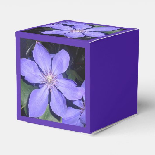 Ballotins Césarine (Arrière)