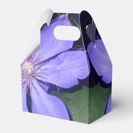 Ballotins Césarine (Arrière)