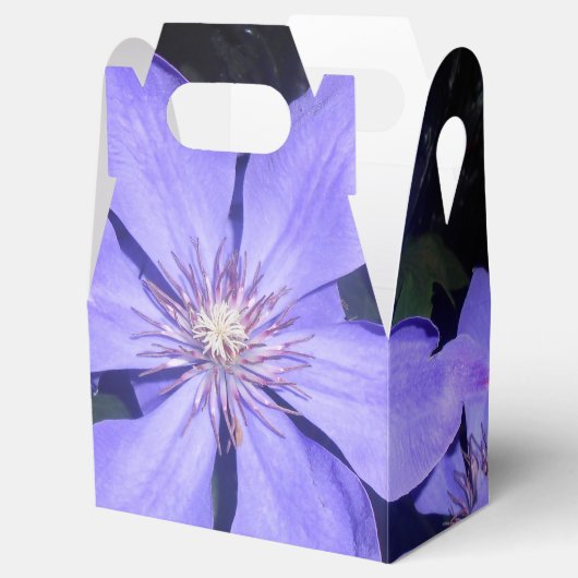 Ballotins Césarine (Ouvert)