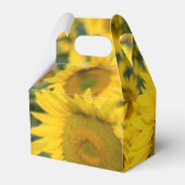 Ballotins Champ jaune de tournesols photo (Arrière)