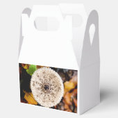 Ballotins Champagne (Ouvert)