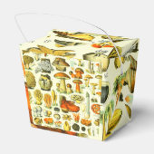 BALLOTINS CHAMPIONNATS 2 (Arrière)