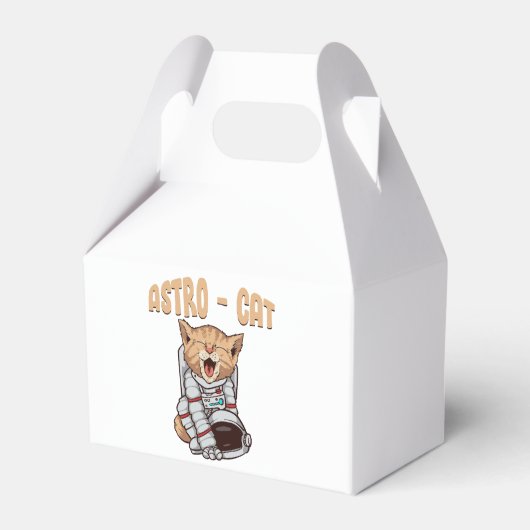 Ballotins Chat Astro (Verso)