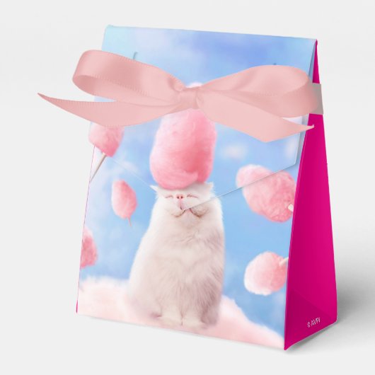 Ballotins Chat Avec Coton Candy Cheveux (Verso)