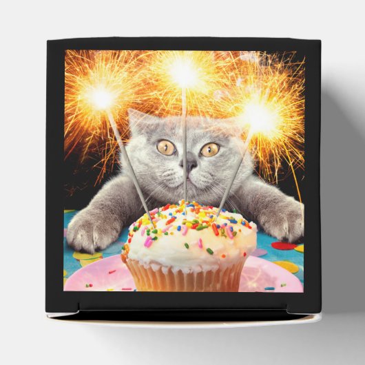 Ballotins Chat Avec Cupcake Sparkler (Haut)
