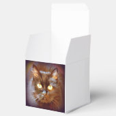 Ballotins chat noir (Ouvert)