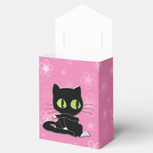 Ballotins chat noir avec chaussettes blanches (Ouvert)