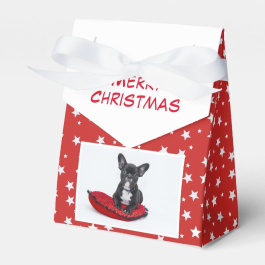 Ballotins Chien de Noël Chien Chien Chien Chien Chien Chien  (Verso)