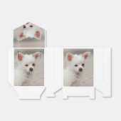 Ballotins Chihuahua chippy dans un jardin (Déplié)