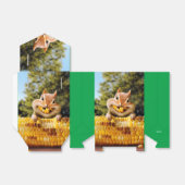 Ballotins Chipmunk Mating Corn (Déplié)