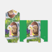 Ballotins Chouette Avec Fleur Dans Boîte Aux Lettres (Déplié)