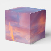 Ballotins ciel flirtant (Arrière)