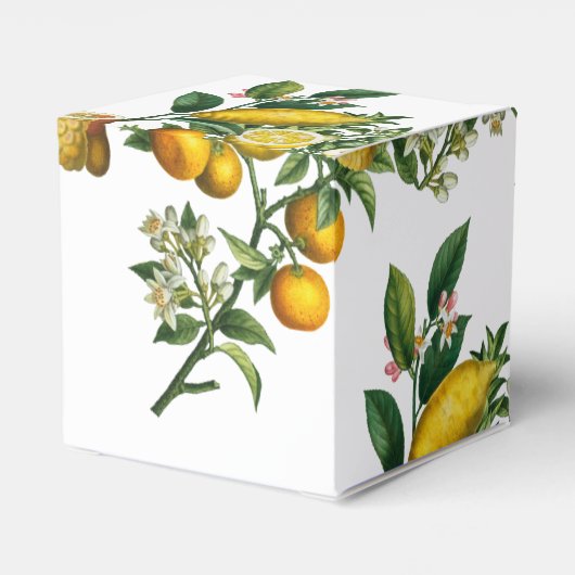 Ballotins Citron jaune rustique et feuillage Mariage de verd (Arrière)