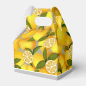 Ballotins Citron plein (Arrière)