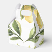 Ballotins citronnier ballotin (Arrière)