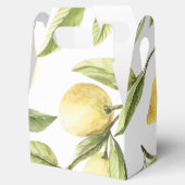 Ballotins citronnier ballotin (Ouvert)