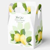 Ballotins Citrons Fruit Botanique Citrus (Ouvert)