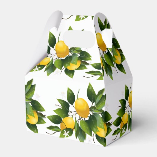 Ballotins Citrus citron vert fruité (Arrière)