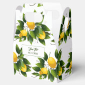 Ballotins Citrus citron vert fruité (Ouvert)
