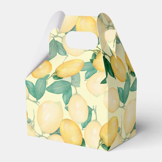 Ballotins Citrus Lemons Merci vert (Arrière)