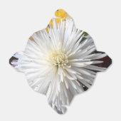 Ballotins Claricia (Déplié)