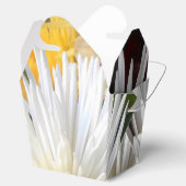 Ballotins Claricia (Ouvert)