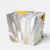 Ballotins Claricia (Arrière)