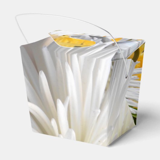 Ballotins Claricia (Arrière)