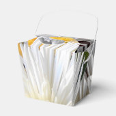 Ballotins Claricia (Verso)