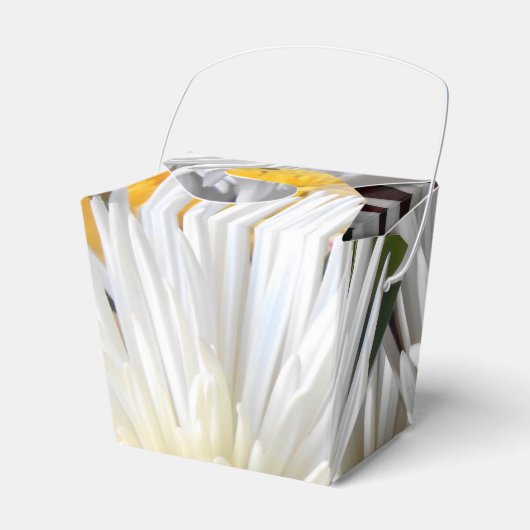 Ballotins Claricia (Verso)