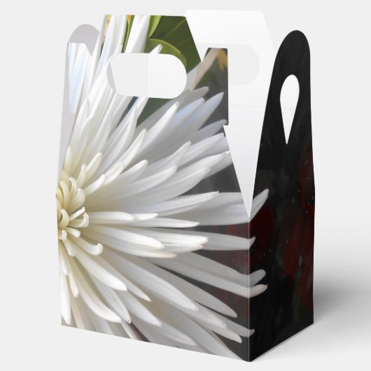 Ballotins Claricia (Ouvert)