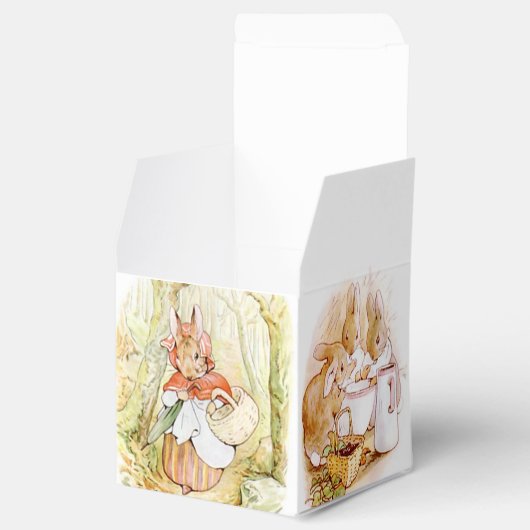 Ballotins Classique Pierre le lapin (Ouvert)