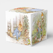 Ballotins Classique Pierre le lapin (Arrière)