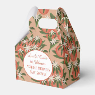 Ballotins Clementine Little Cutie Baby shower d'agrumes fr