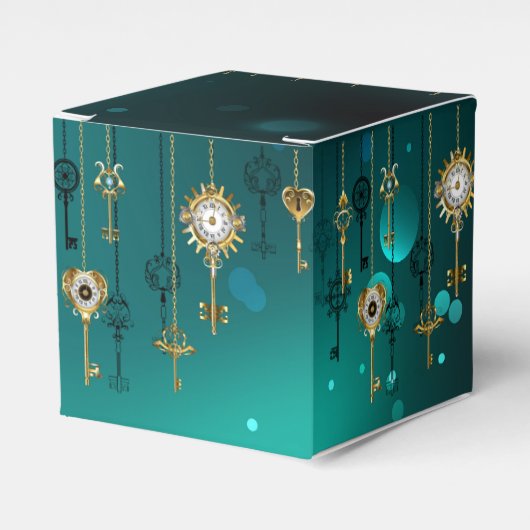 Ballotins Clés squelettes antiques sur fond vert (Verso)