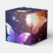 Ballotins Clowing Night Butterflies (Arrière)