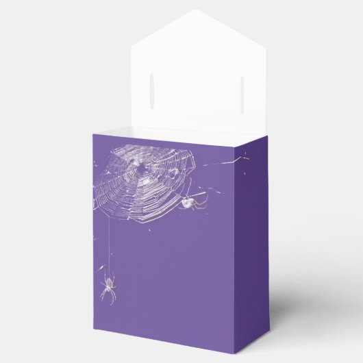 Ballotins Cobwebs et araignées blanches (Ouvert)