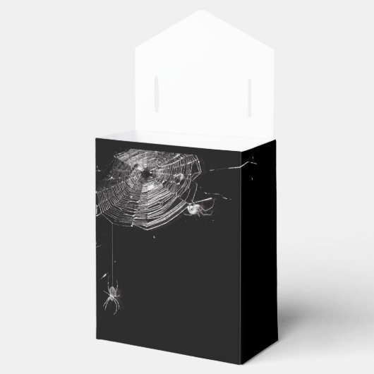 Ballotins Cobwebs et araignées blanches (Ouvert)