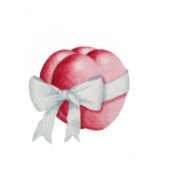 Ballotins cœurs rouges noués avec des rubans blancs pour mar