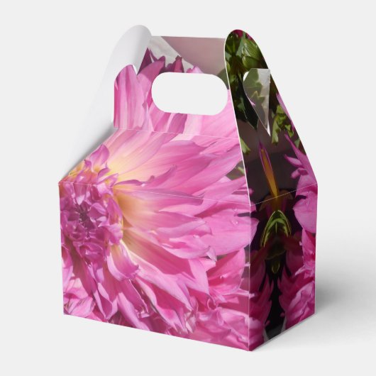 Ballotins Cogniet (Arrière)