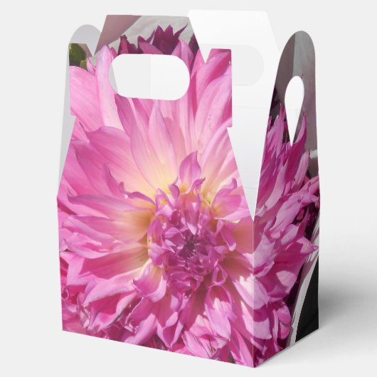 Ballotins Cogniet (Ouvert)