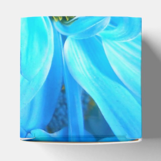 Ballotins Collaert (Haut)