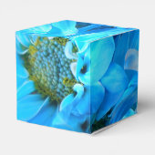 Ballotins Collaert (Arrière)