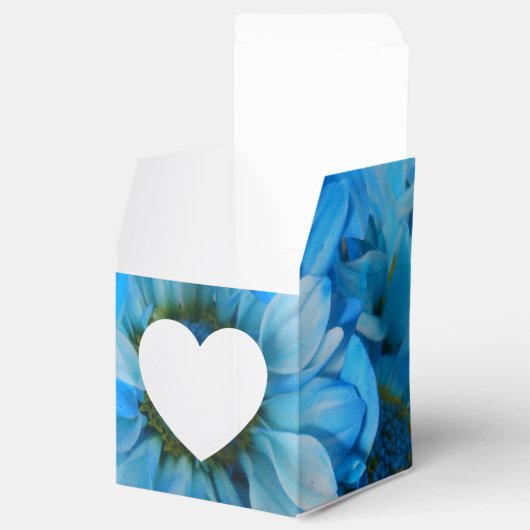 Ballotins Collaert (Ouvert)